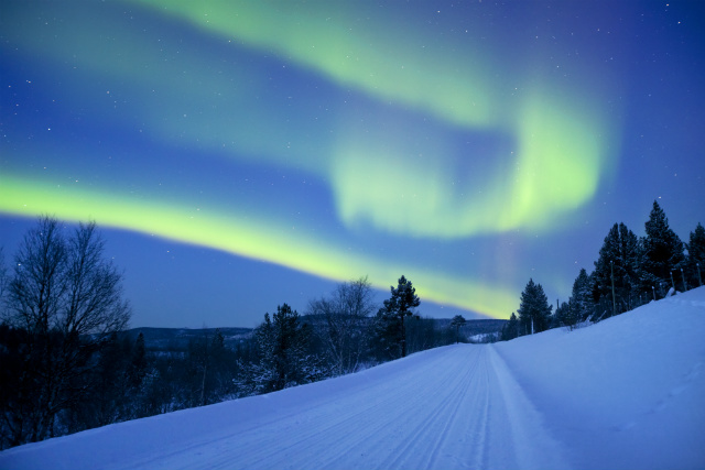 aurora-boreal-laponia-finlandia-bosque-640