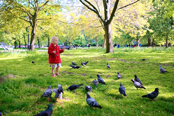 hyde-park-londres-con-niños-clickviaja