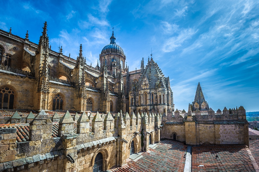 tejados catedral peq