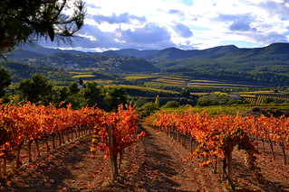 penedes cinco rutas de vino diferentes en españa clickviaja