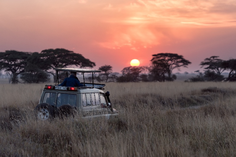 planes románticos en tanzania clickviaja